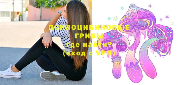 герыч Осинники